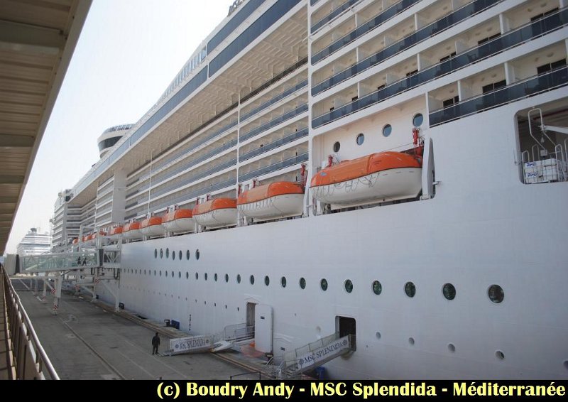 MSC Splendida - Mediterranée  (1).jpg